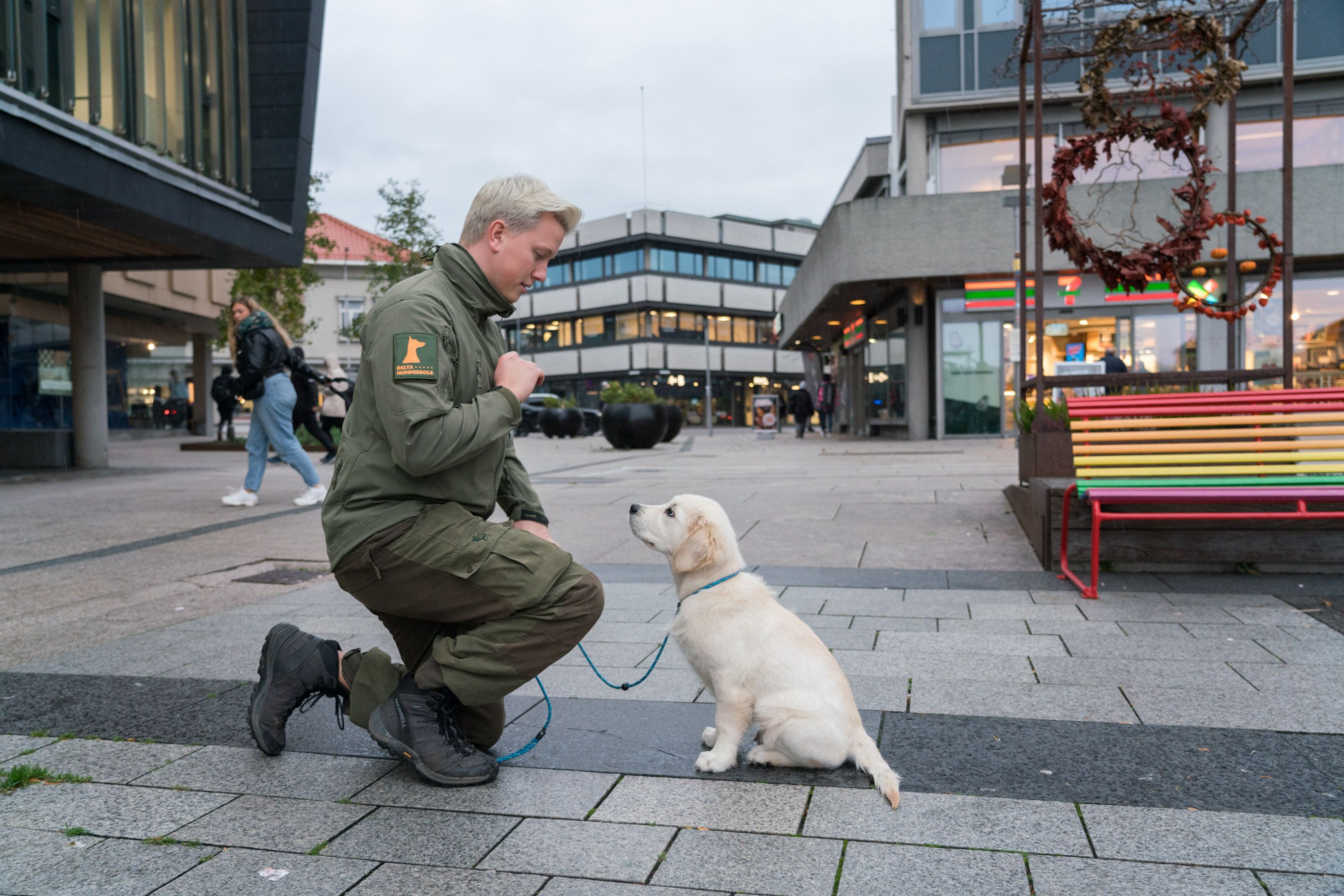 Vise - Amedia Annonseplattform